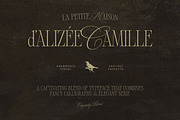 Alizee - Classy Hybrid Serif, a Serif Font by Harmonais Visual (Thumbnail 28 of 29)