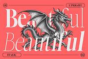 Choppin Serif | 91 Style Font, a Serif Font by Bosstype Studio (Thumbnail 4 of 15)