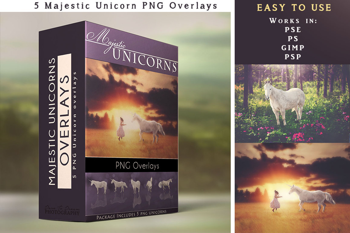 Unicorn Overlays - 5 PNGs -
