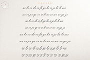 Night Weight Script, a Script Font by Nowlystudios (Thumbnail 8 of 9)