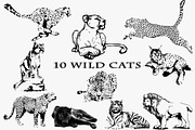 Wild cat family. Vector illustration, an Animal Illustration by ...