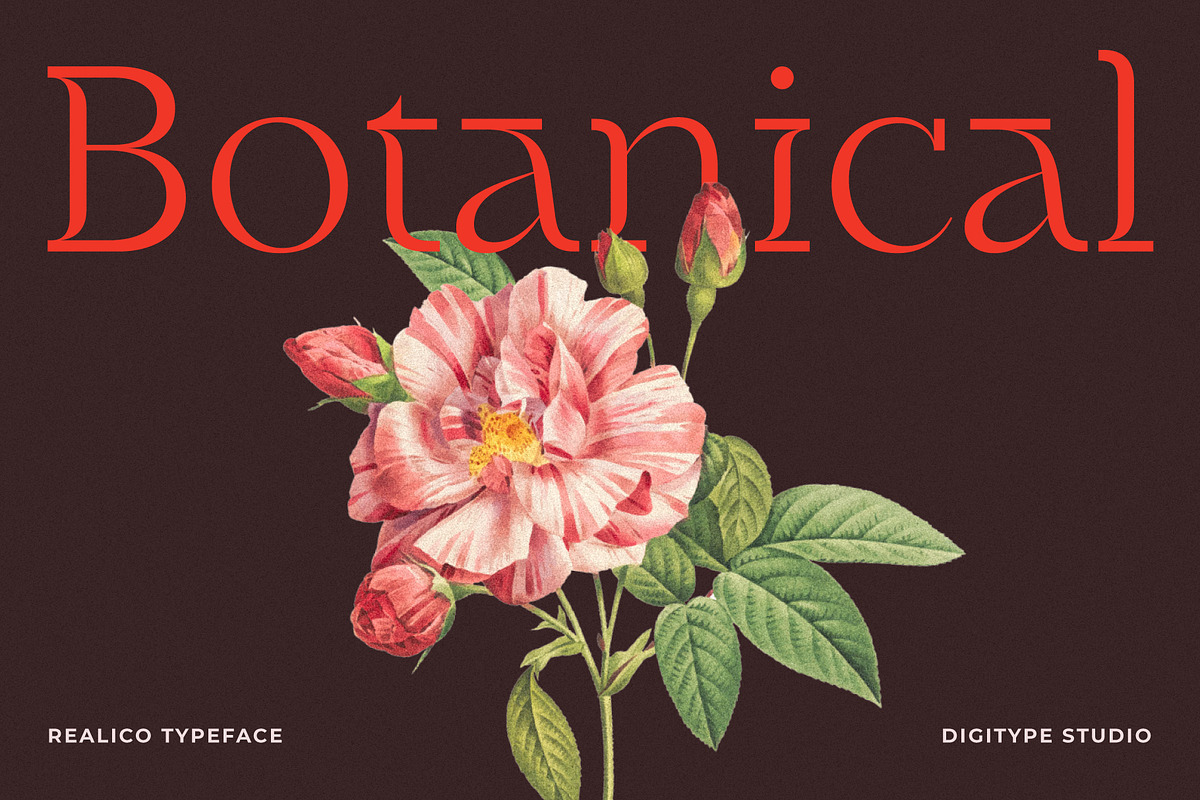 Realico Font, a Font by Digitype Studio (Photo 2 of 10)