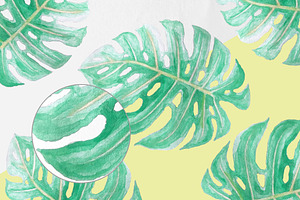 Watercolor Monstera - Tropical Plant