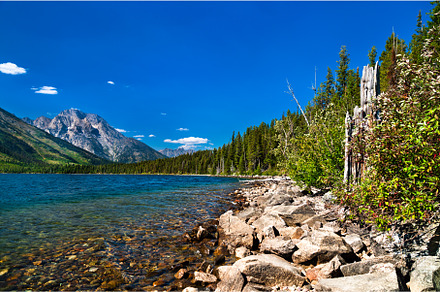 Rocky shoreline of Jenny Lake with, a Nature Photo by Leonid Andronov