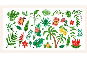 Tropical plant set hand draw flat