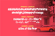 Bifloster - Display Bold Font, a Script Font by Zeatype (Thumbnail 5 of 6)