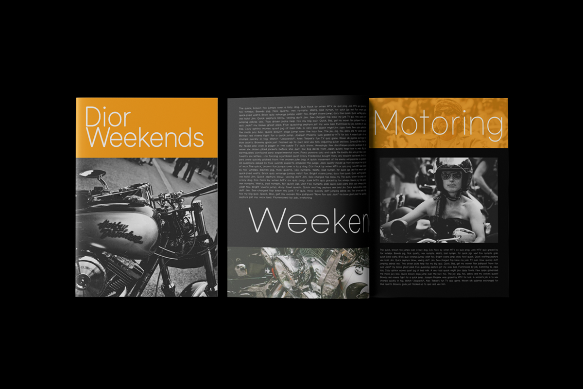 Olivette Sans, a Sans Serif Font by VistaType (Photo 5 of 9)