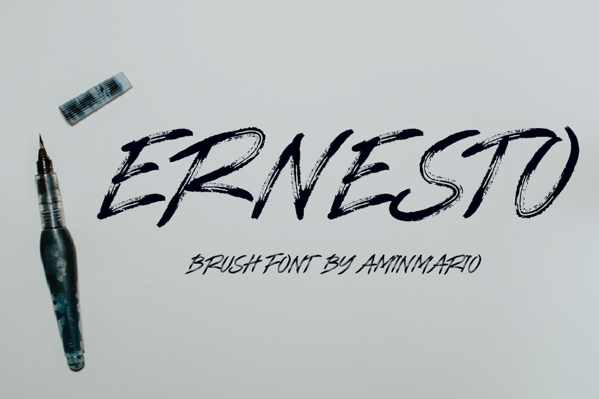 ERNESTO preview 6