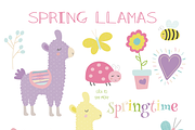 Spring llama, a Decorative Illustration by Poppymoondesign (Thumbnail 2 of 2)