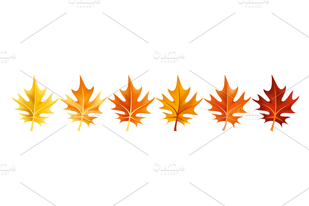 Autumn leaves design element, an Object Illustration by Things for designers