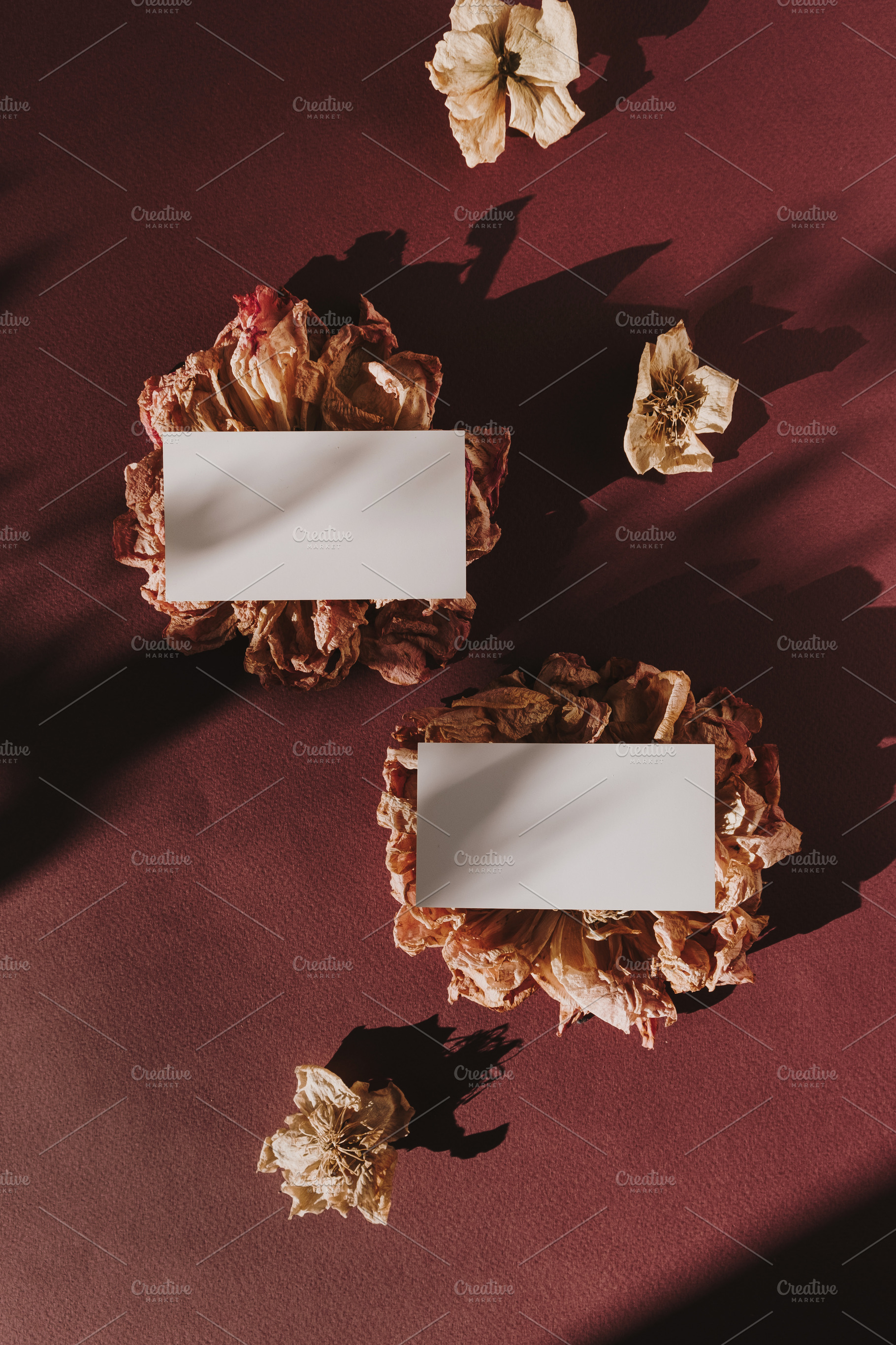 Blank paper cards on dry flowers, an Arts & Entertainment Photo by Floral Deco