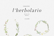 l'Herbolario - Wild Floral Graphics, an Illustration by studioequinox (Thumbnail 10 of 14)
