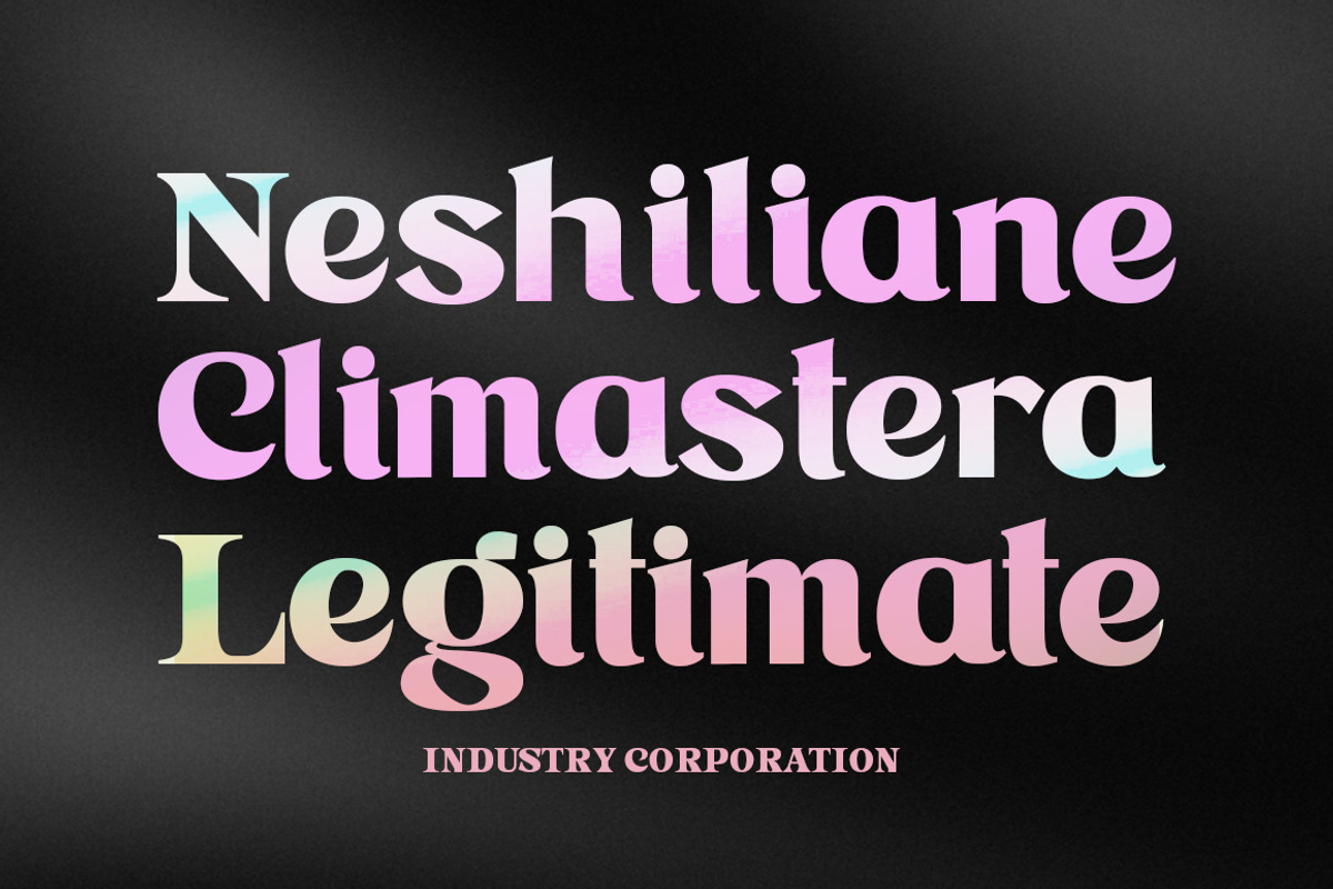 Astone Nisam, a Sans Serif Font by Gatype (Photo 3 of 10)