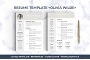 Best Selling RESUME BUNDLE / CV, a Resume Template by LevelUpResume (Thumbnail 11 of 11)