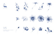 Gwinnett | Indigo | Botanical set, a Decorative Illustration by Karma (Thumbnail 14 of 16)