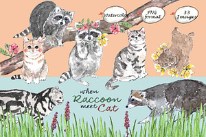 Raccoons & Cats-Watercolor Clipart, an Animal Illustration by VianneArt