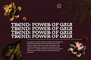 FERAL FLORA Collage Elements, an Object Graphic by angelainthefields (Thumbnail 6 of 12)