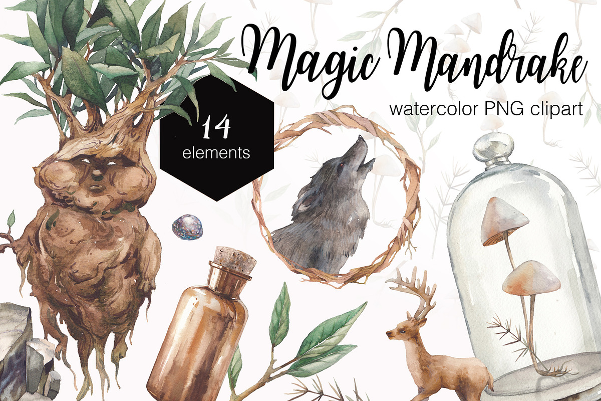 Magic Mandrake, an Illustration by Eisfrei (Photo 1 of 8)