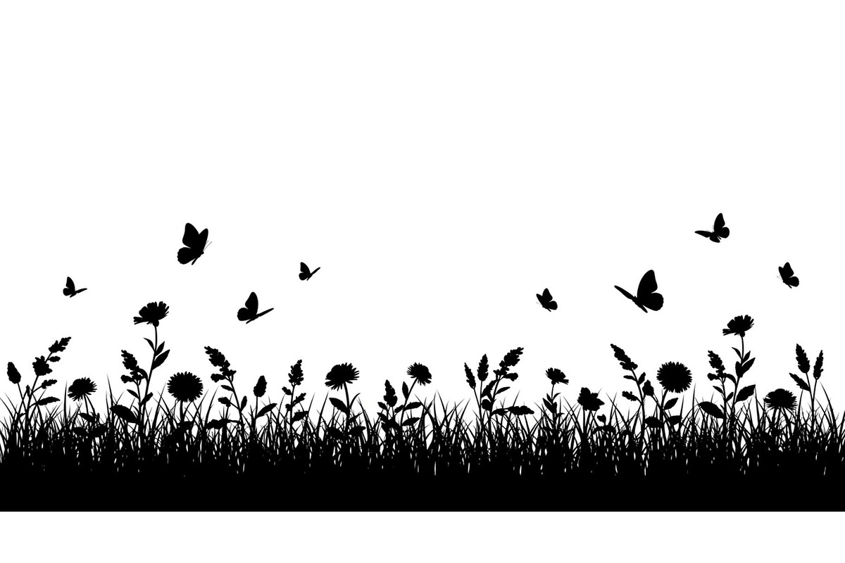 Floral Grass Border Silhouette Bundl, an Illustration by Amazin_art (Photo 30 of 51)