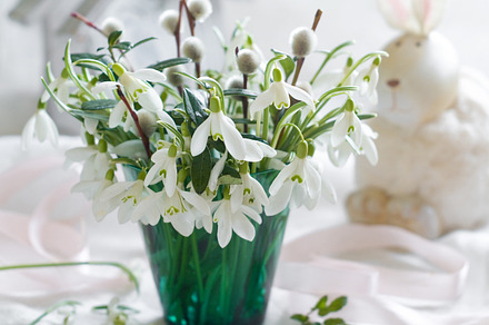 Roses Stock Photograph preview 6
