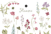 Hand-drawn Romance Whimsy Summer, a Decorative Illustration by Kreker Kate (Thumbnail 7 of 13)