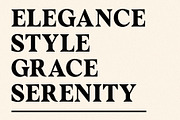 FRENCH GALLERY - vintage soft serif, a Serif Font by Misha Sova (Thumbnail 6 of 11)