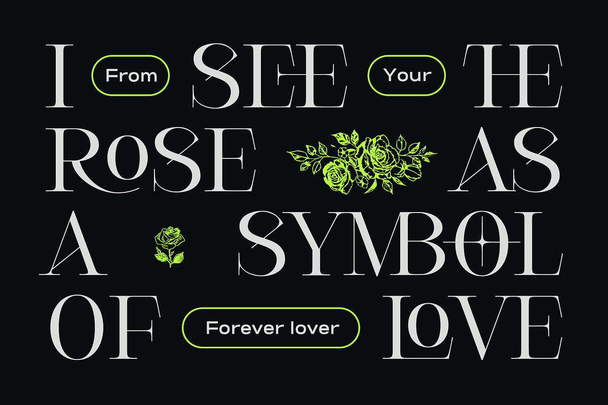 Cesso: Ligature Serif, a Serif Font by That That Creative (Photo 4 of 17)