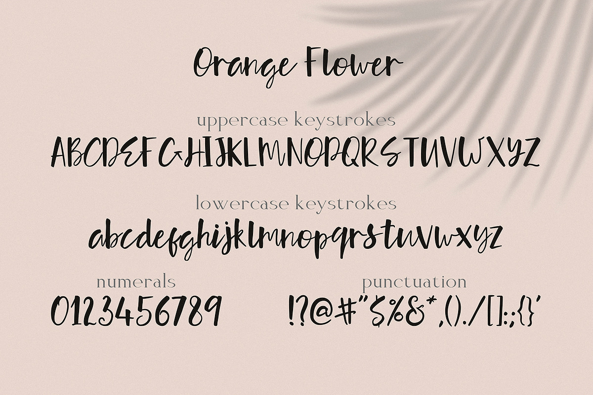 Orange Flower! Typeface with Extras, a Script Font by Anastasia Cuza (Photo 5 of 9)