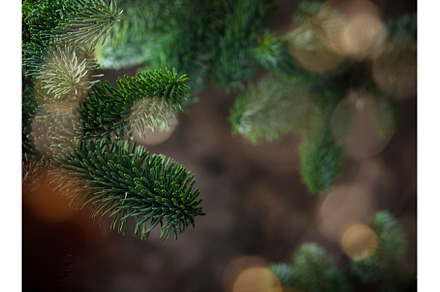 Christmas and New Year background, a Holiday Photo by Yulia Furman