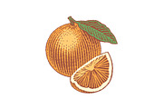 Strawberry and Orange, a Food Illustration by Irina Trusova (Thumbnail 2 of 5)