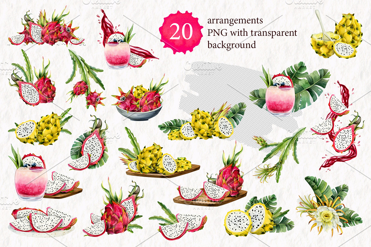 Tropical Dragon Fruit Pitaya Clipart, a Food Illustration by Elena Malgina Clipart (Photo 4 of 12)