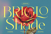 Briglo Shade Elegant Thin Serif, a Serif Font by timelesstype.co (Thumbnail 1 of 15)