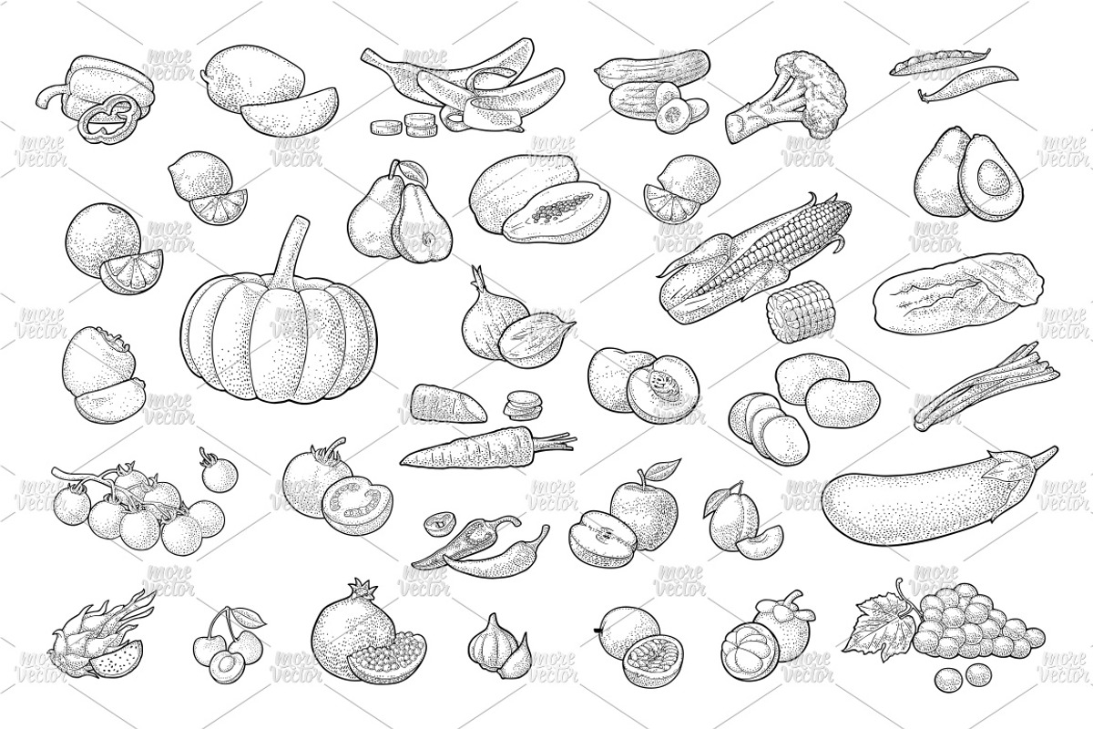 Set vegetable fruit engraving, a Food Illustration by MoreVector (Photo 2 of 2)