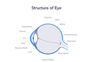 Eye Health PowerPoint Template