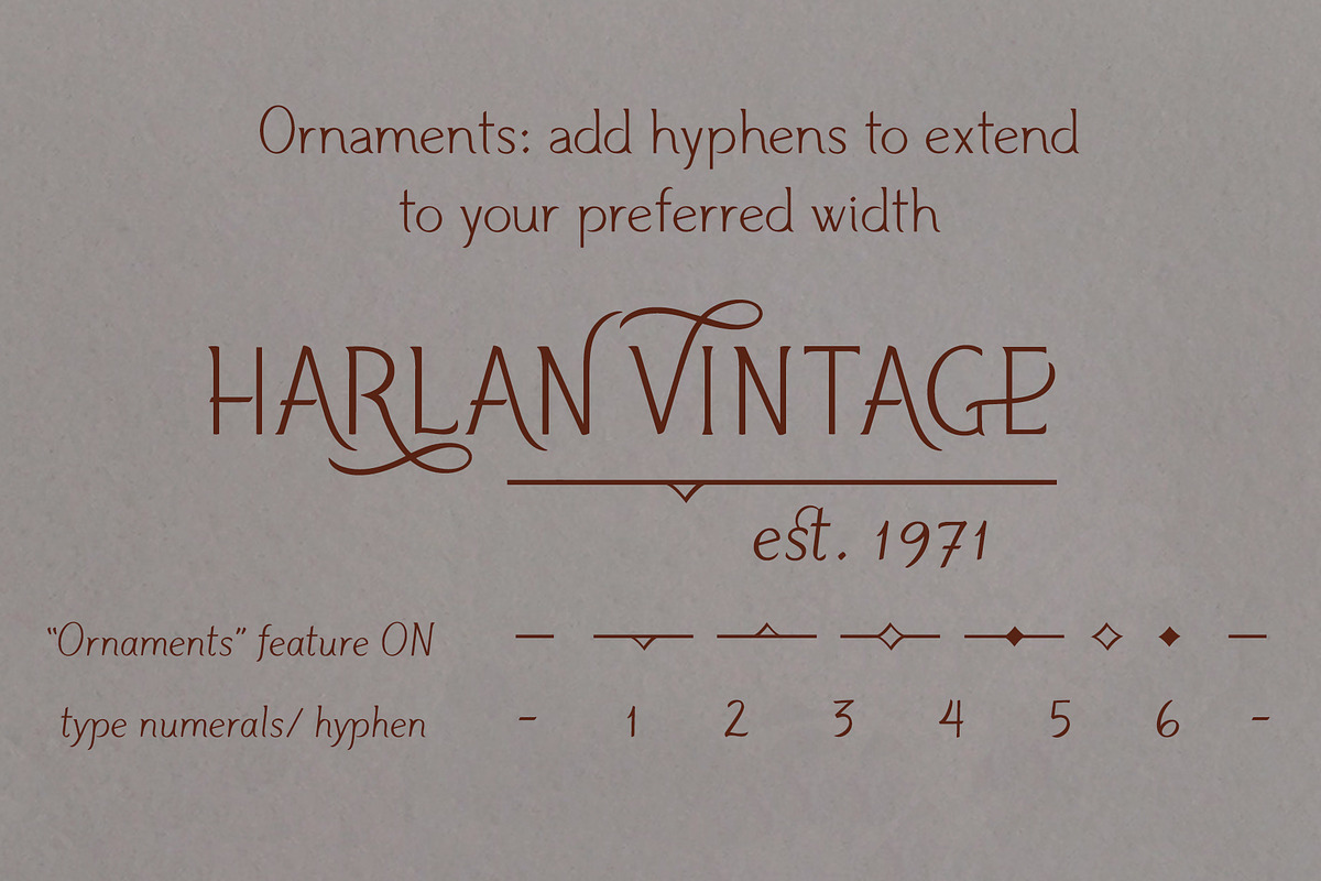 HARLAN - a timeless typeface, a Serif Font by Trial by Cupcakes (Photo 6 of 8)