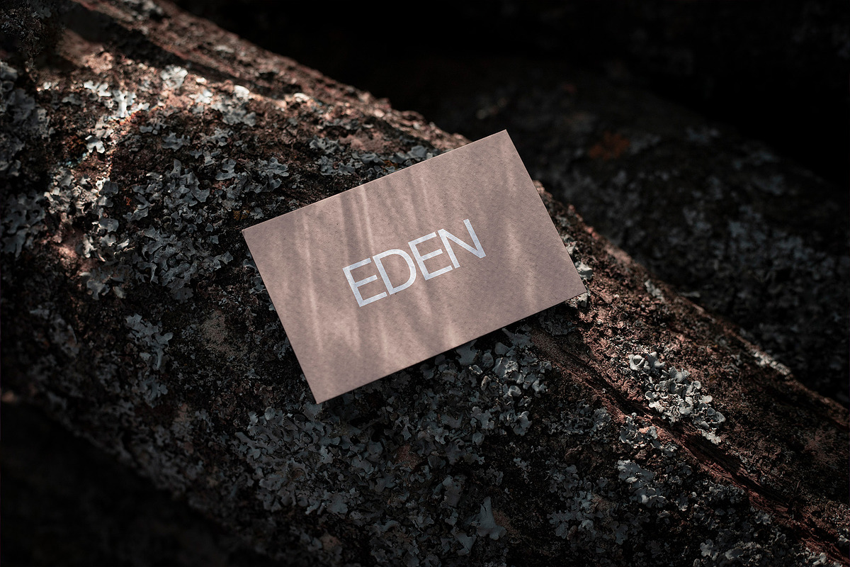 FORMAT EDEN BUSINESSCARD 07, a Product Mockup by Format Mockups (Photo 1 of 3)