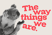 Kolbano - Antique Typefamily, a Slab Serif Font by Jehoo Creative (Thumbnail 5 of 12)