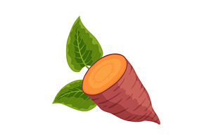 Sweet potato batata. Vegatable, a Food Illustration by the8monkey