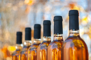 Rose wine bottles in a row., a Food & Drink Photo by Mark Borbely