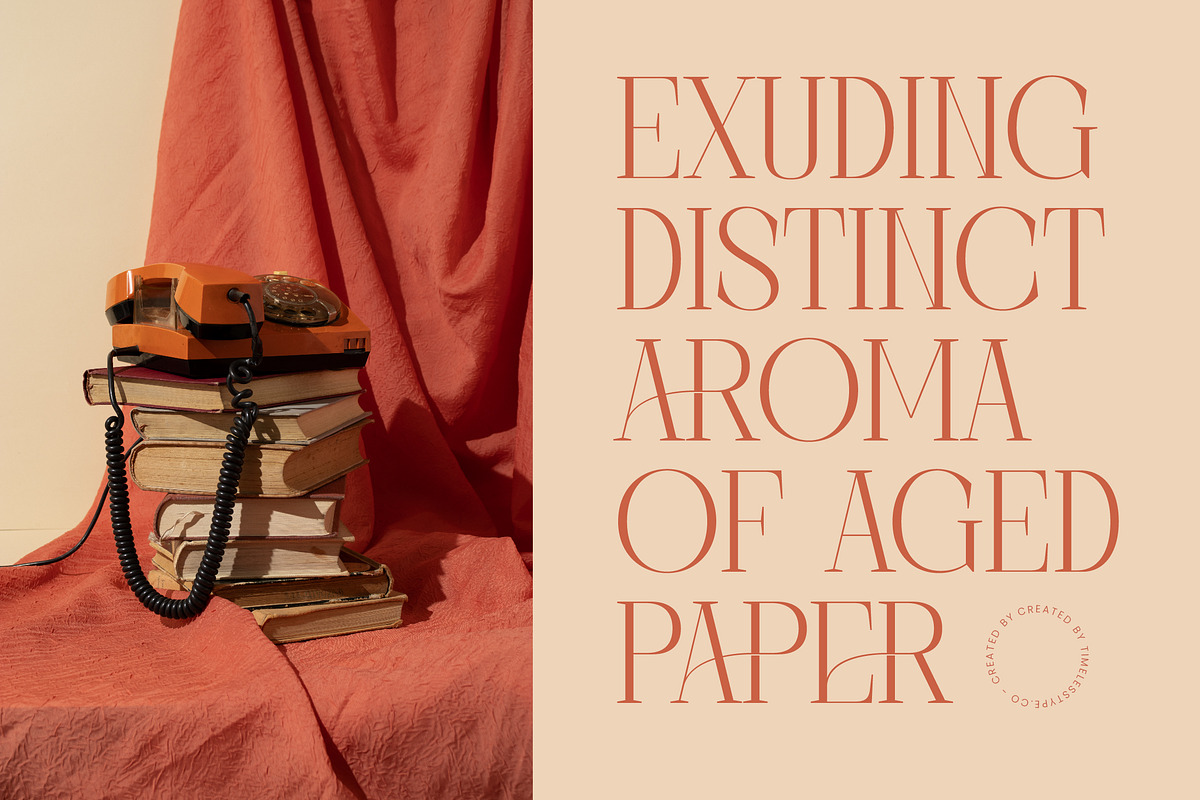 Barely Painter Elegant Serif Font, a Serif Font by timelesstype.co (Photo 8 of 20)