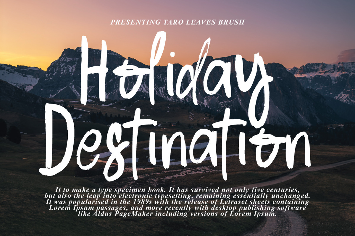 Taro Leaves - Brush Signature, a Handwritten Font by tebaltipislab (Photo 5 of 9)
