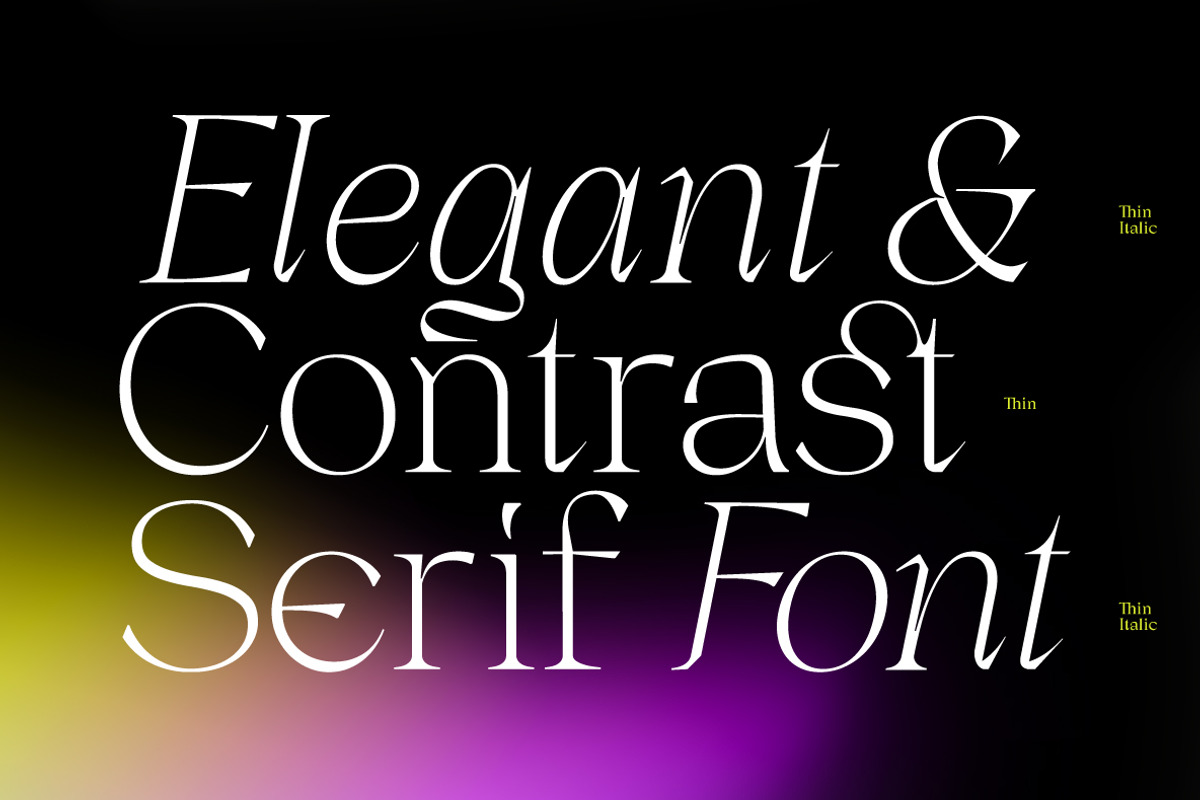 Dx Gaster + Italic, a Serif Font by Dirtyline Studio (Photo 11 of 11)
