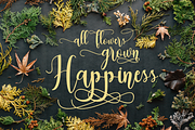dealove font script, a Script Font by Analogous (Thumbnail 4 of 9)