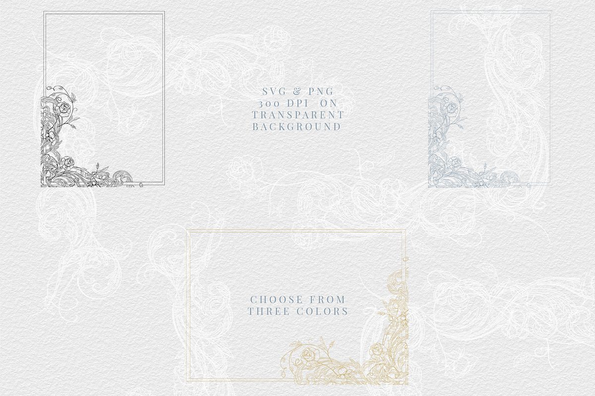 Elegant Rose Collection Vol 1, a Decorative Illustration by AW Studios (Photo 2 of 10)