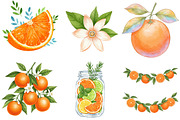 Watercolor Citrus Orange Clipart, an Illustration by cherrydesign (Thumbnail 3 of 3)