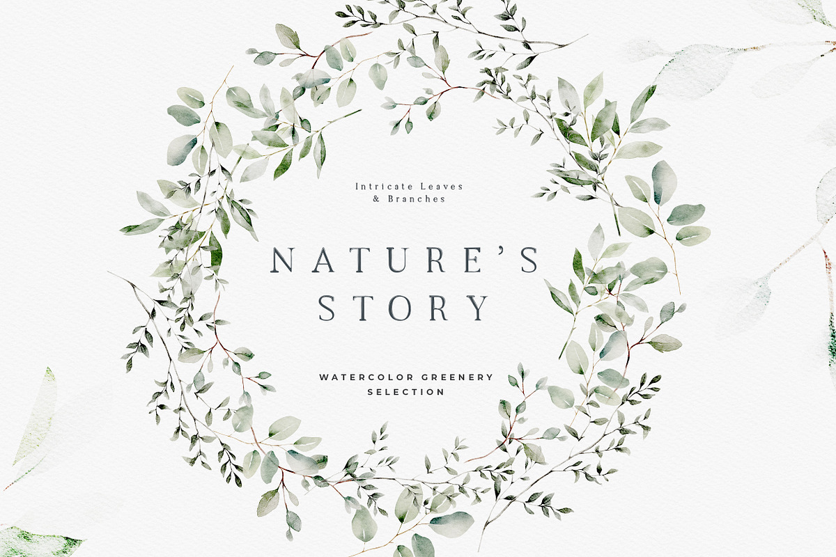 Modern Watercolor Greenery & Wreaths, a Decorative Illustration by Laras Wonderland (Photo 10 of 12)