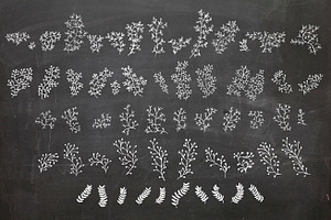 Hand Drawn Plant Elements