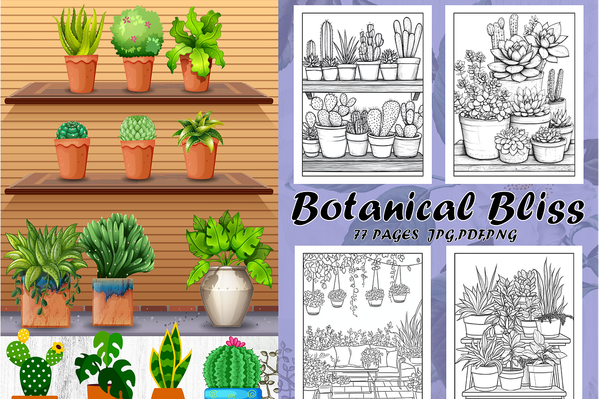 Botanical Bliss Coloring Book, a Decorative Illustration by Design Zone (Photo 1 of 5)