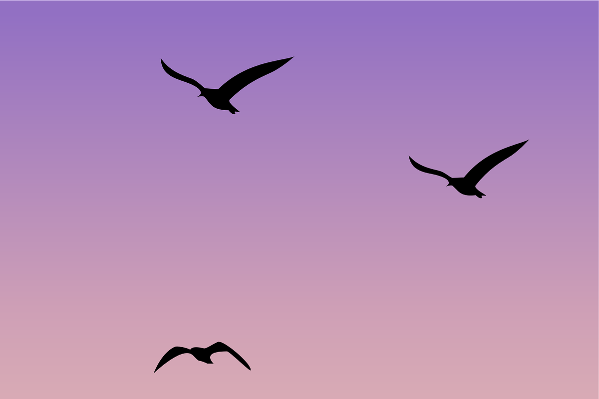 Silehouette Bird Flight (8x10), an Illustration by KhaledMuhammad1