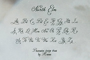 North Elm - Decorative Script Font, a Script Font by Mneme (Thumbnail 4 of 8)